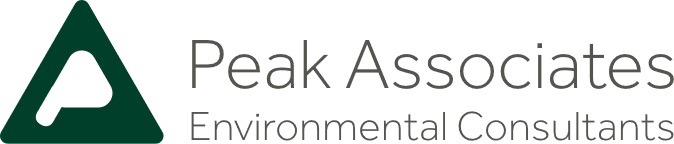 Peak Associates logo